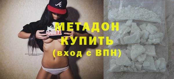 стаф Алзамай