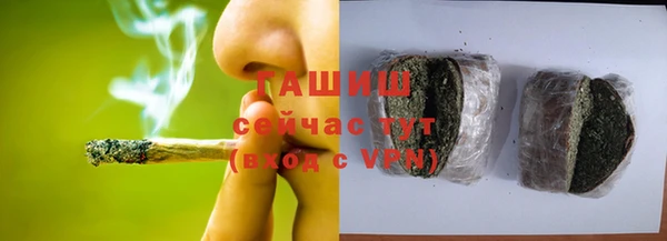 стаф Алзамай