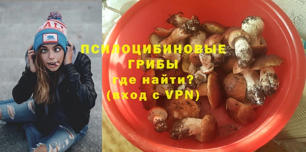 МДПВ Аркадак